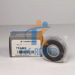 Bearing Motor