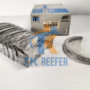 Bearing Set