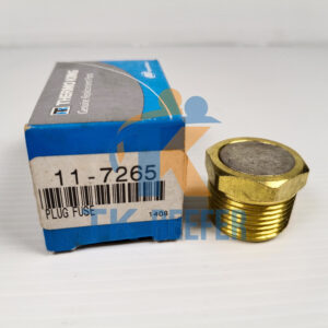 Plug Fuse