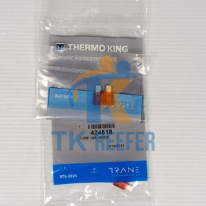 Fuse 10A 32VDC