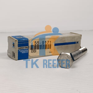 Screw HH M10x1.5 SS